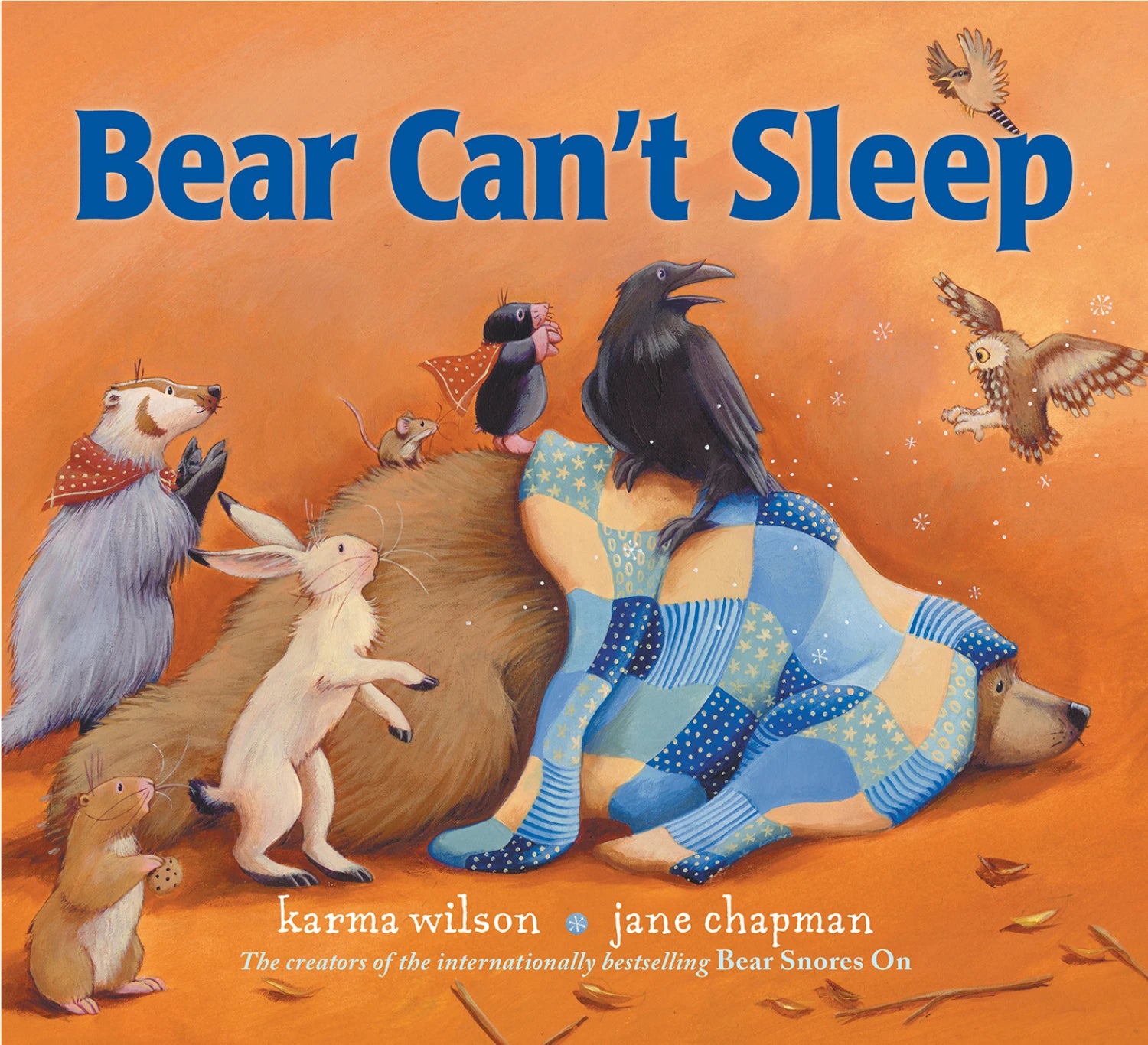 Bear Can't Sleep Children's Book