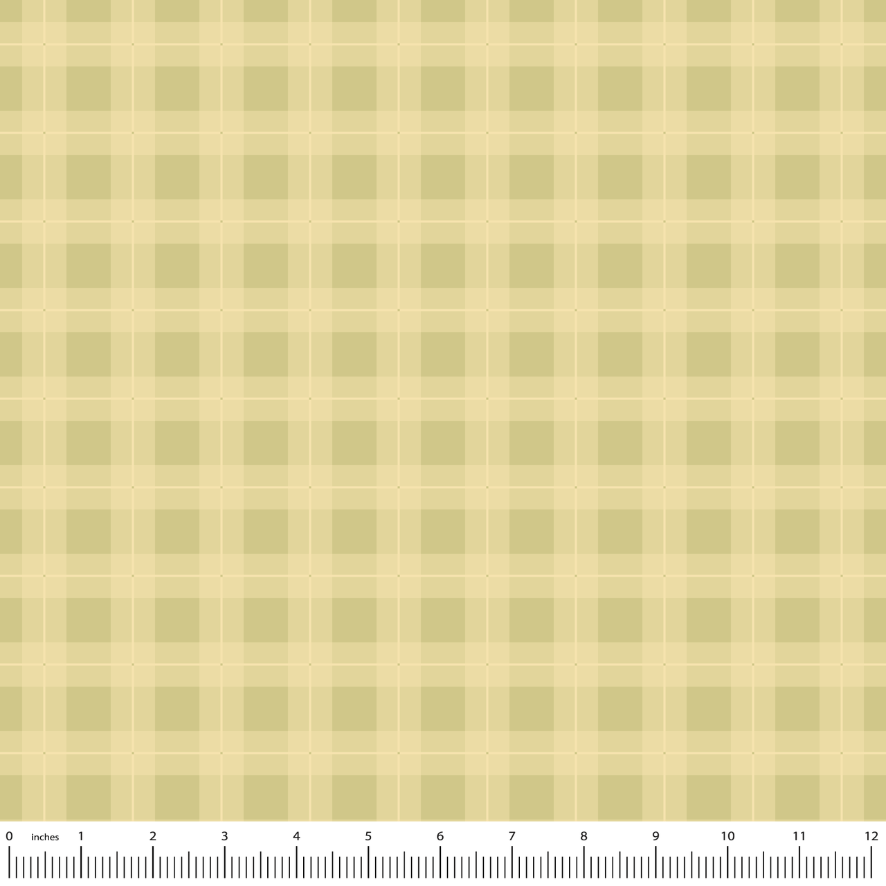 Pioneer Days Spring Meadow Plaid