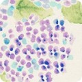 Natural Blooms Lavender Floral