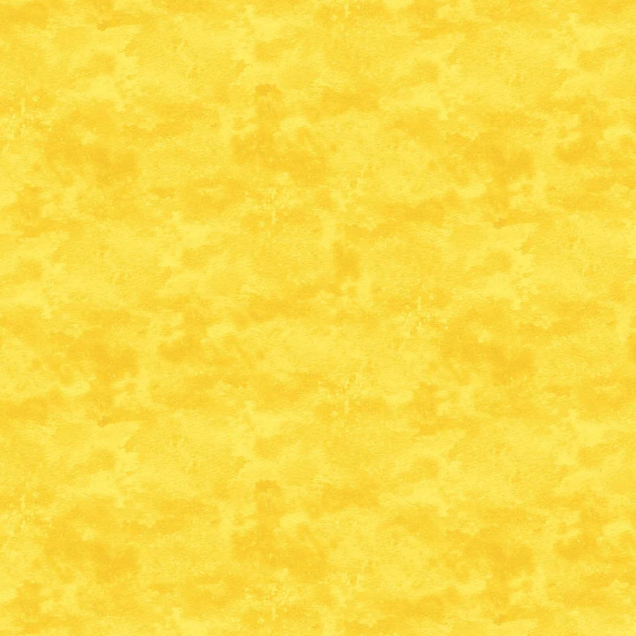 Toscana Sunflower