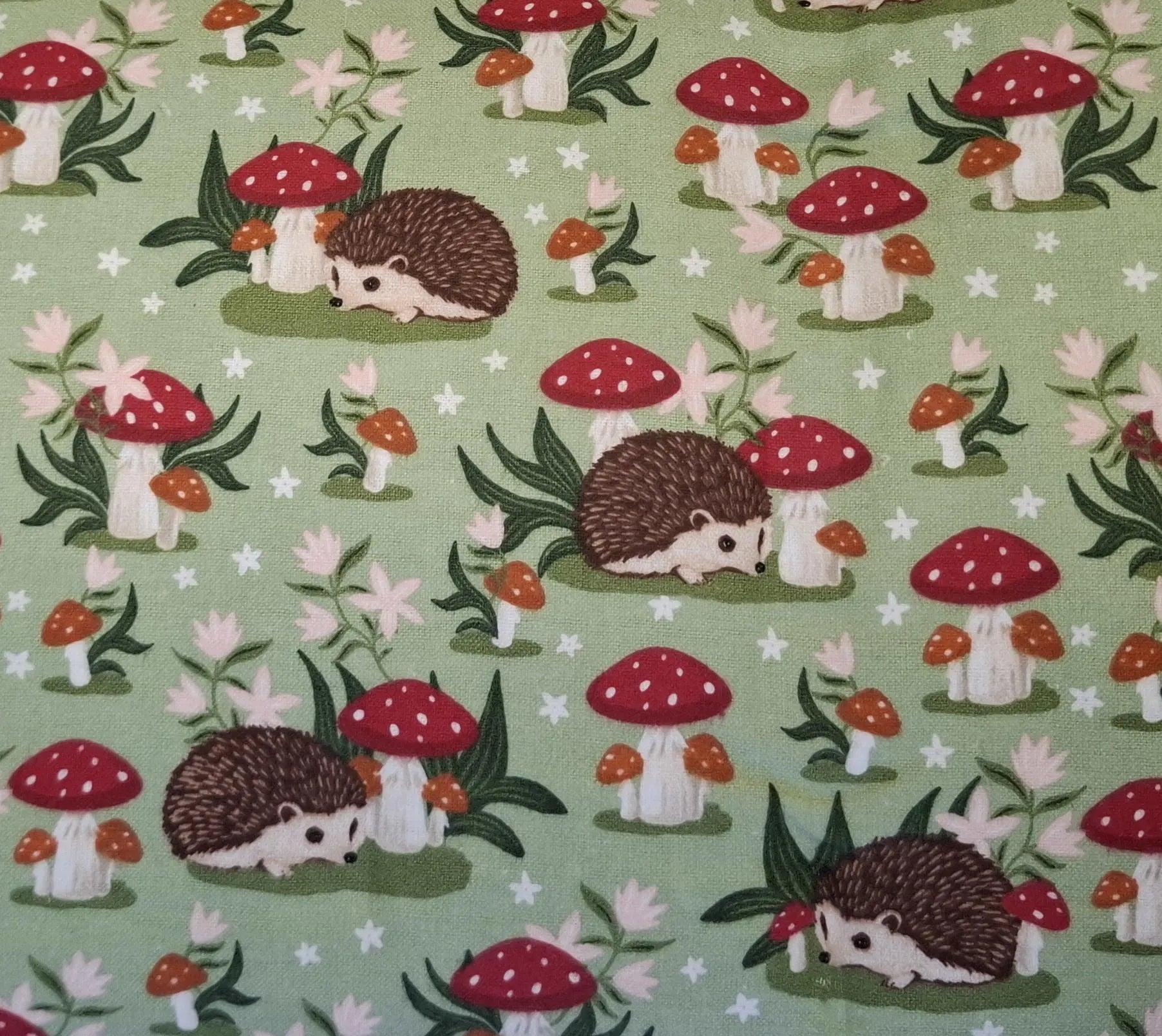 Hedgehogs & Mushrooms Flannel