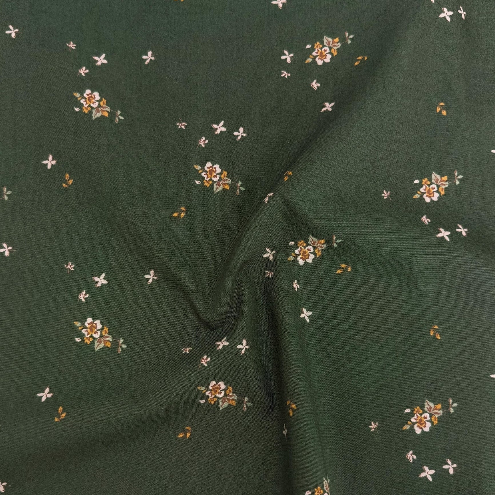 Spruce Delicate Balance - Evergreen