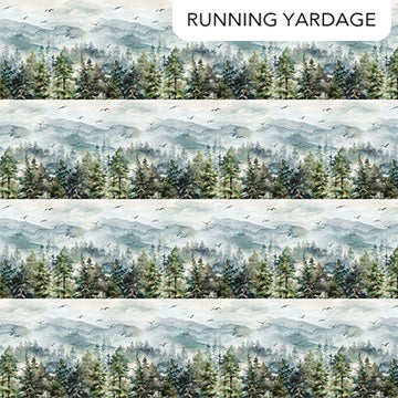 Altitude Border Stripe - Blue Multi