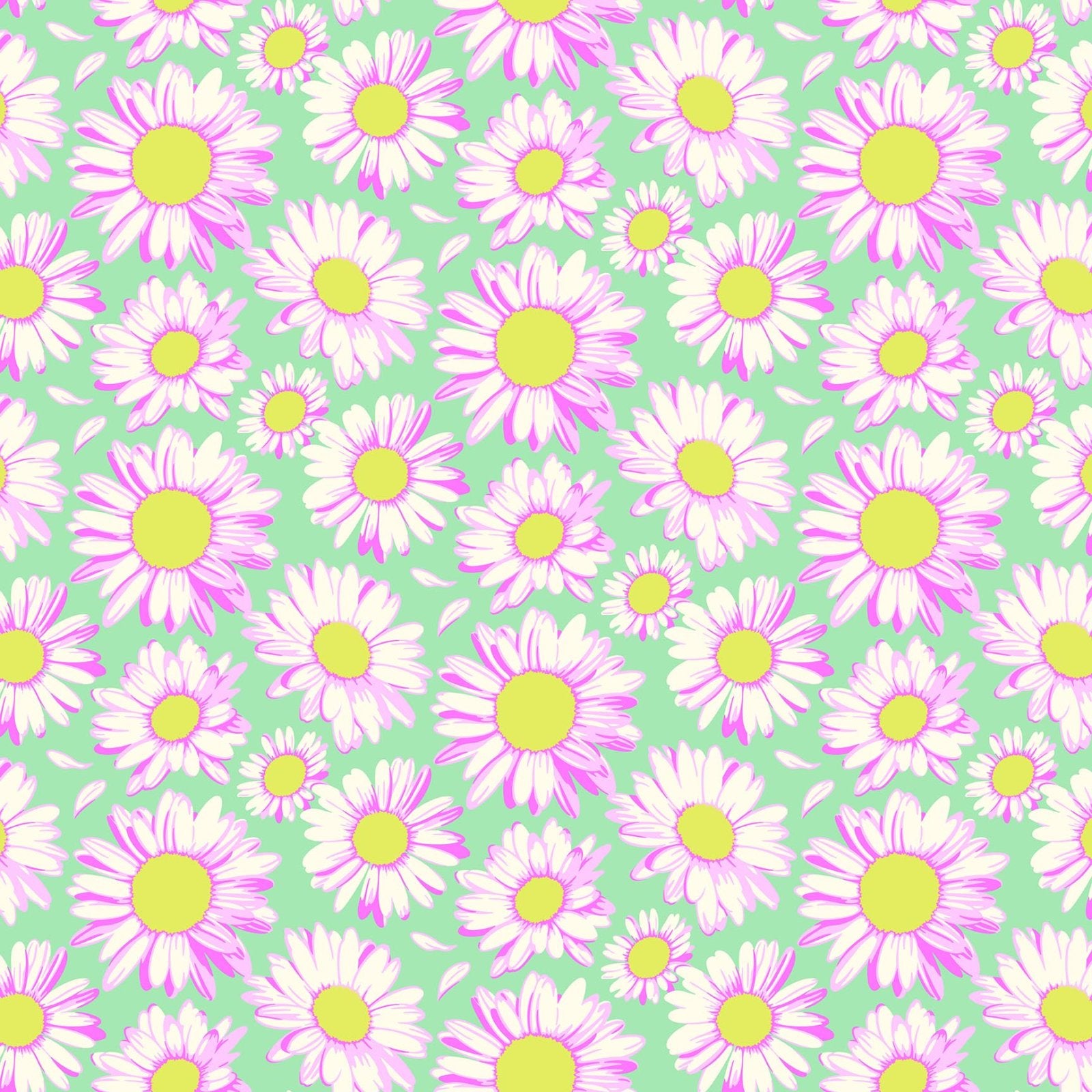 Daisy Crush Sunshine Daisies - Sky