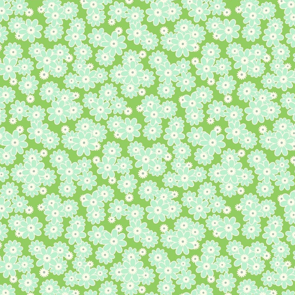 Daisy Crush Dear Daisy - Clover