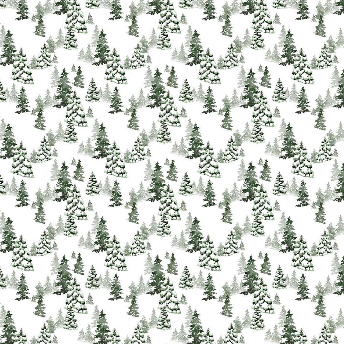 Snowbound Trees - White
