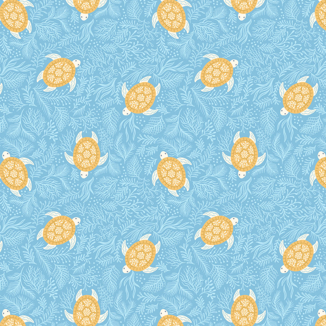 Seas The Day Turtles on Seaweed