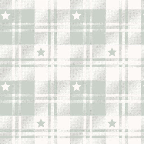 Toybox Treasures - Sage Check