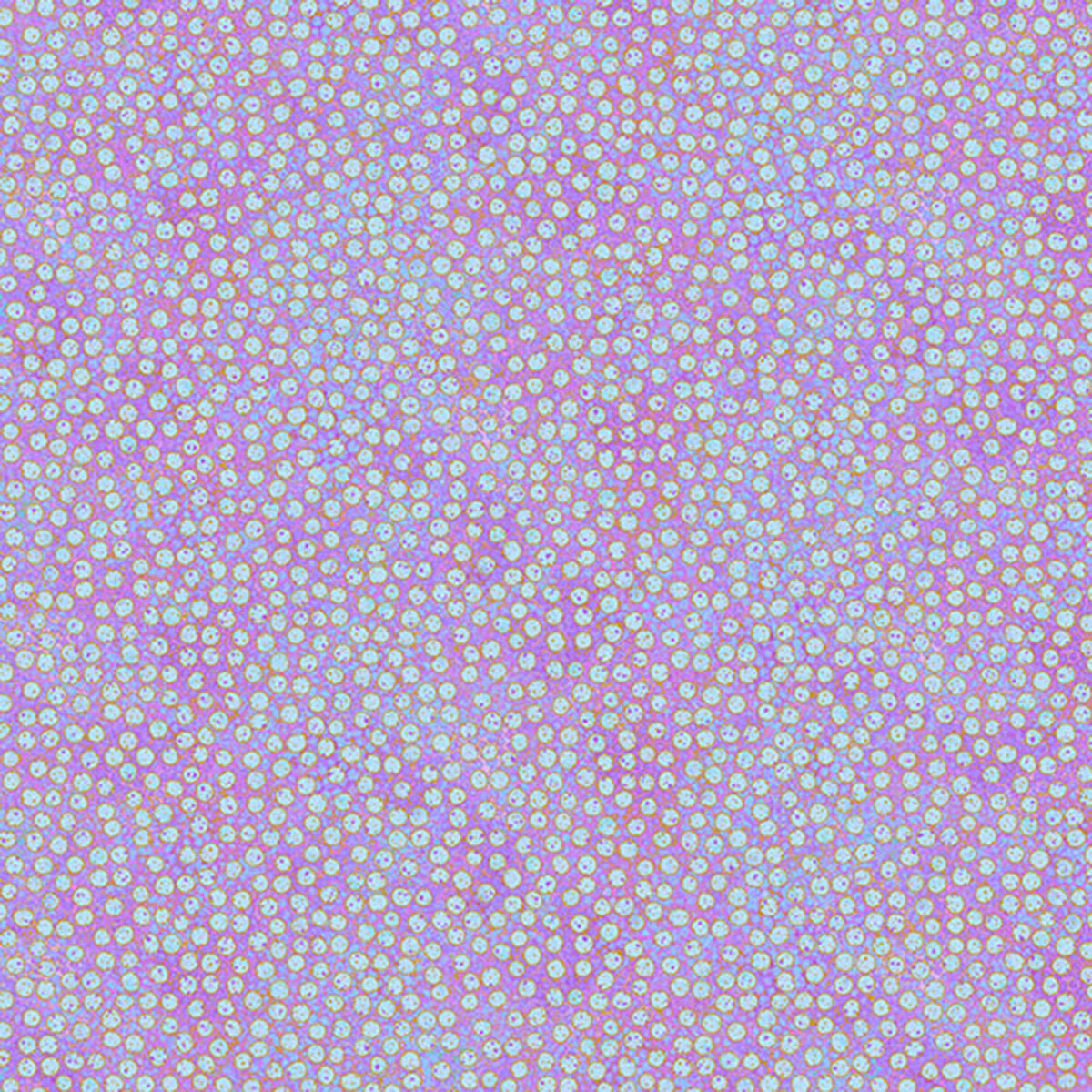 Shimmer Basics Pansy Tiny Dots