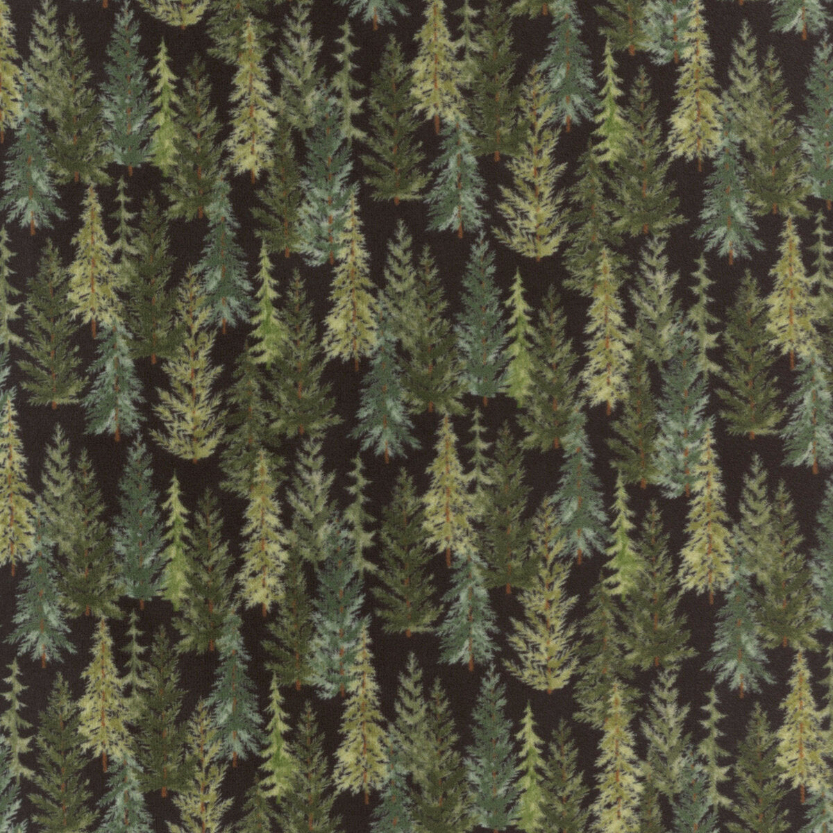 Northwoods Lodge Pine Tree Forest Soil - Cuddle