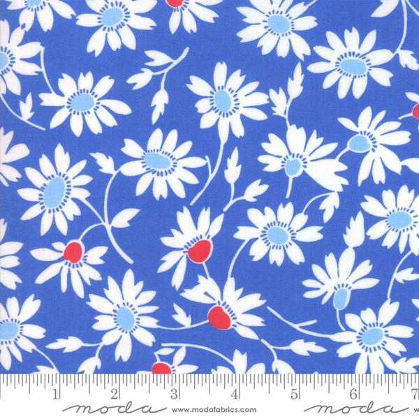 Back Porch Daisies Fat Quarter