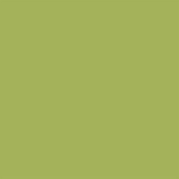 Colorworks Kiwi Fat Quarter