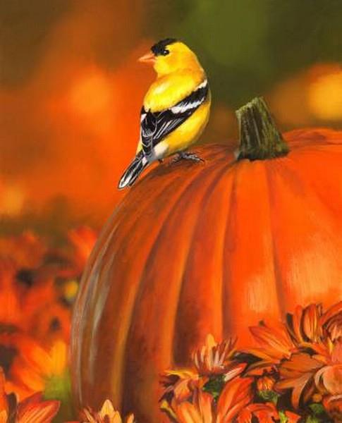 Goldfinch & Pumpkin Panel