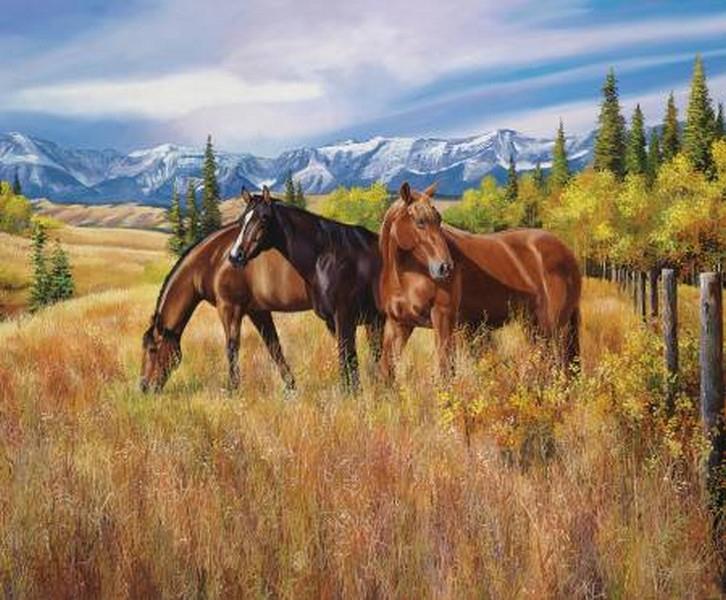 High Horse Foothills Panel