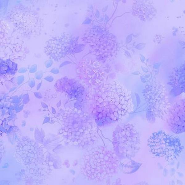 Hydrangea Bliss Dreams Lavender 1/4m