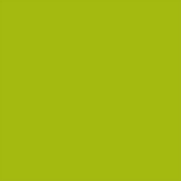 Colorworks Matcha Fat Quarter