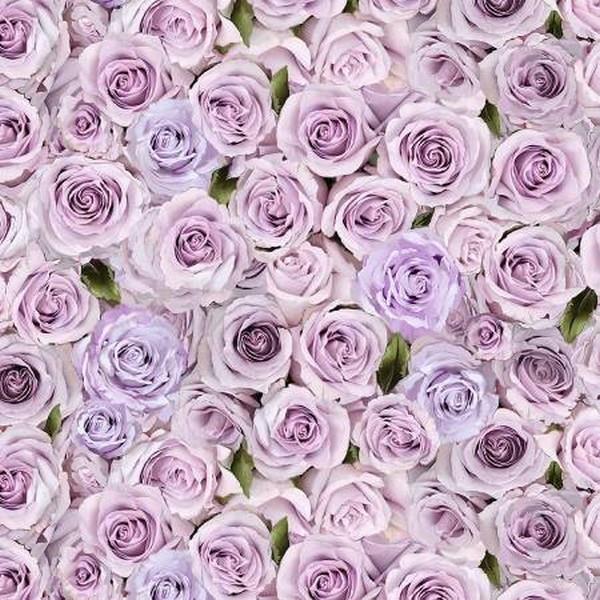 Loveletter Purple Roses