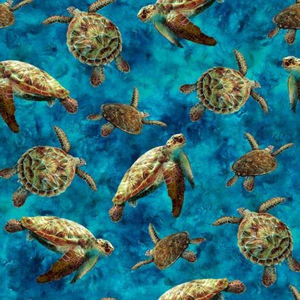 Tides of Color Sea Turtles