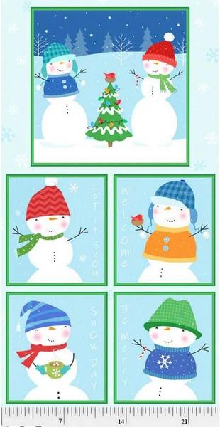Winter Park Snowman Panel
