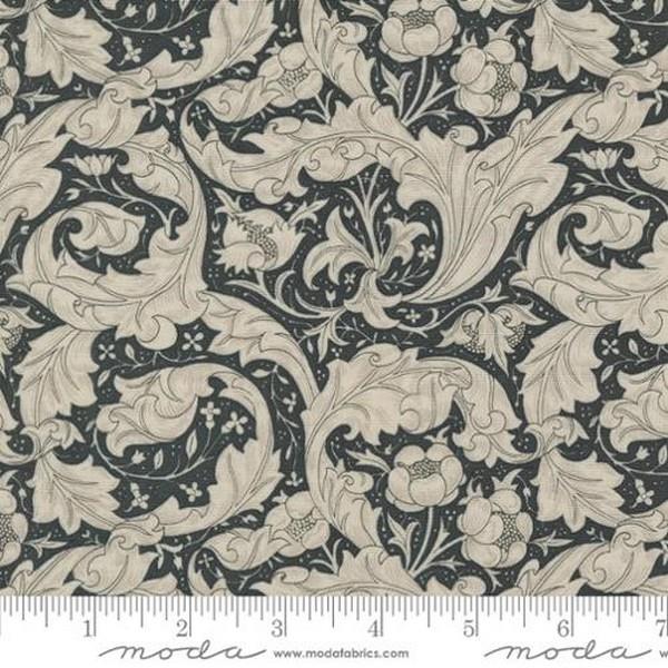 Ebony Suite Bachelors Button Ebony