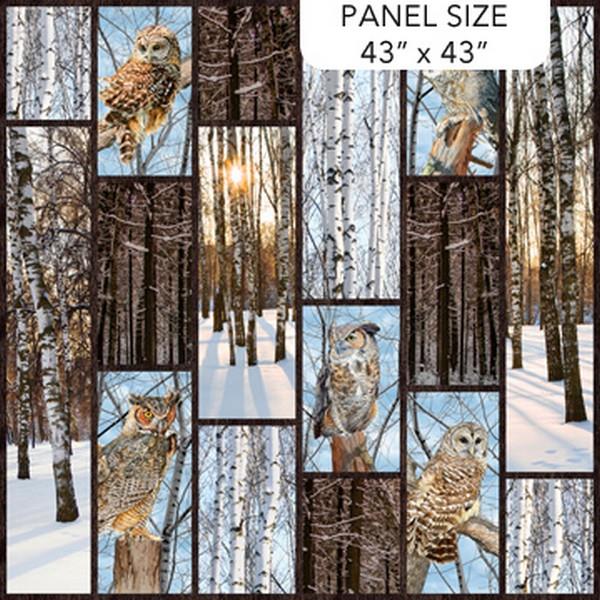 Naturescapes Solitude Owls Panel