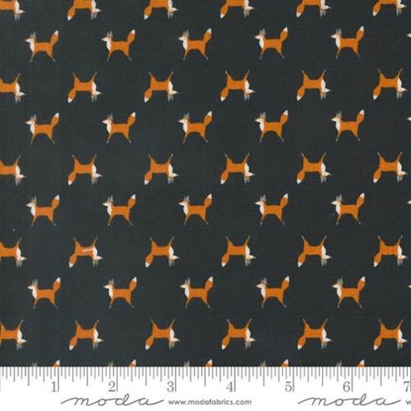 Woodland Wonder Fox Trot Midnight