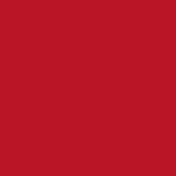 Colorworks Fiesta - 257