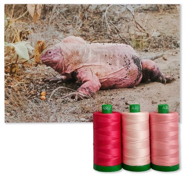 Pink Land Iguana collection from the 2021 Aurifil Color Builders Club at The Quilt Store in Canada