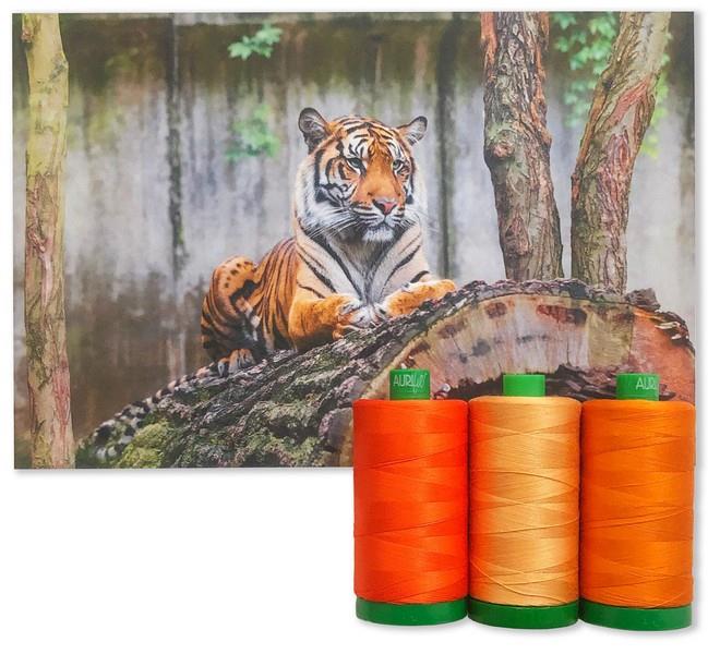 Sumatran Tiger collection from the 2021 Aurifil Color Builders Club at The Quilt Store in Canada