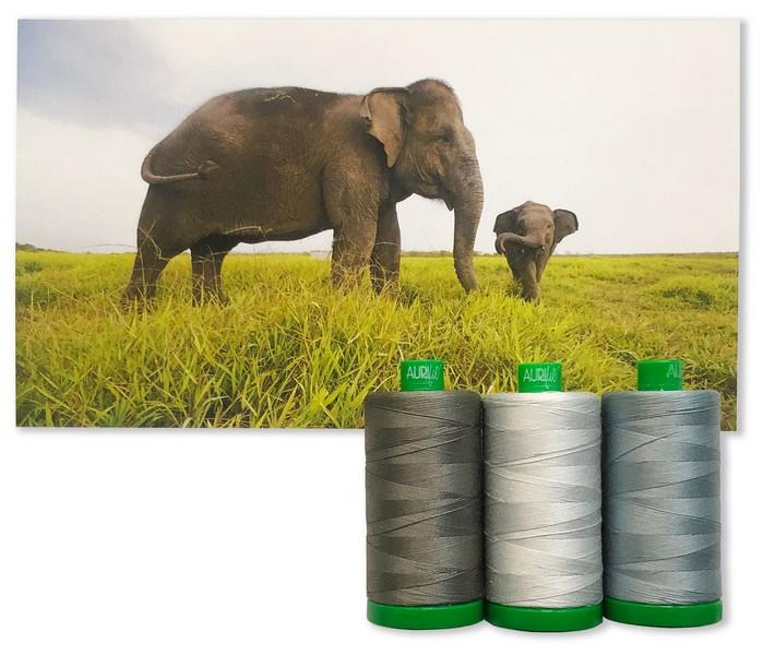 Sumatran Elephant collection from the 2021 Aurifil Color Builders Club at The Quilt Store in Canada