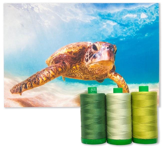 Sea Turtle collection from the 2021 Aurifil Color Builders Club at The Quilt Store in Canada