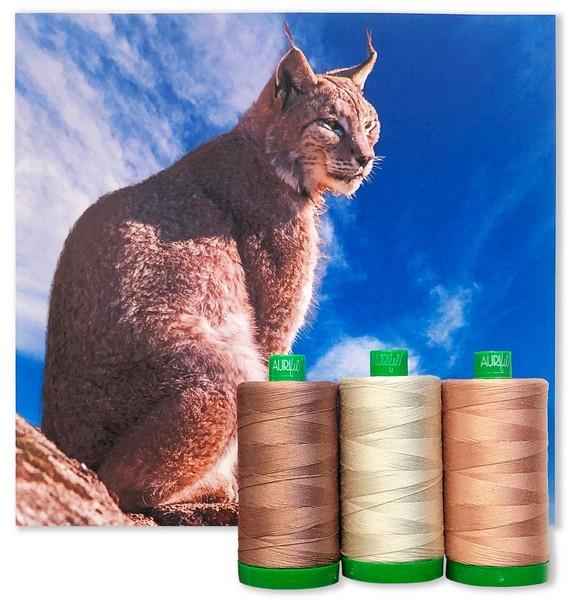 Lyberian Lynx collection from the 2021 Aurifil Color Builders Club at The Quilt Store in Canada