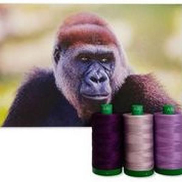 Cross River Gorilla collection from the 2021 Aurifil Color Builders Club at The Quilt Store in Canada