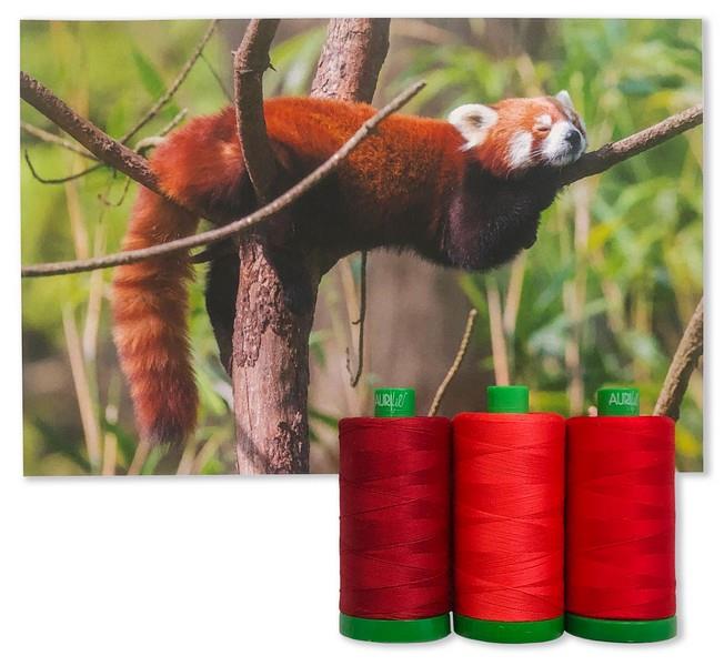 Red Panda collection from the 2021 Aurifil Color Builders Club at The Quilt Store in Canada