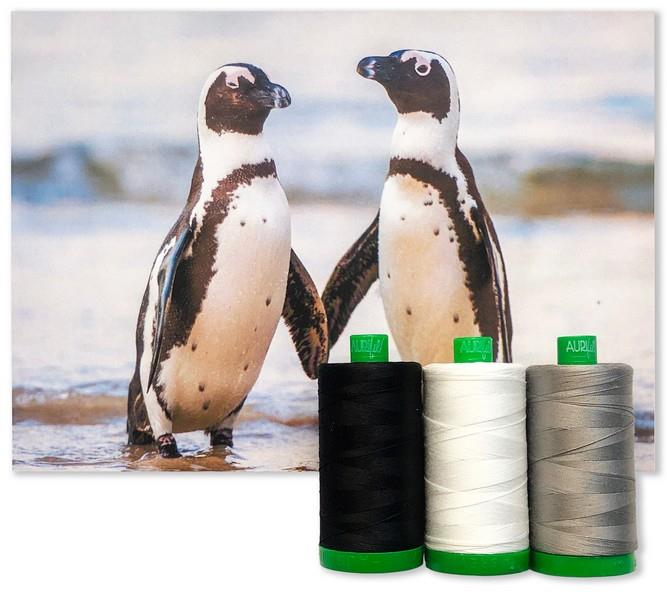 African Penguin collection from the 2021 Aurifil Color Builders Club at The Quilt Store in Canada