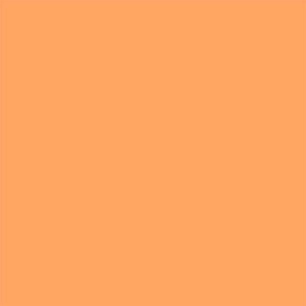 Colorworks Apricot 382



Colorworks Apricot - 382