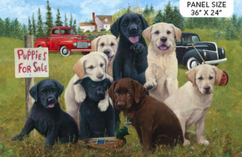 Puppies For Sale Panel by Jim Killen for Northcott available in Canada at The Quilt Store