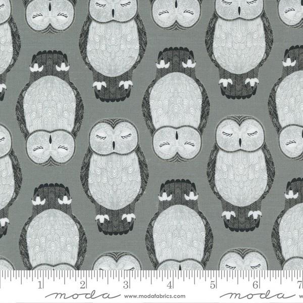 Nocternal Owls Raincloud by Gingiber for Moda available in Canada at The Quilt Store