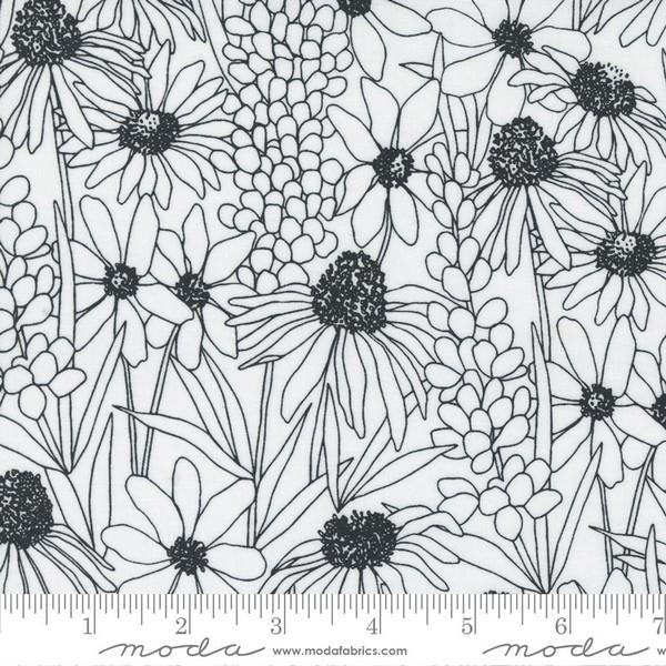 Hey Ya'll Daisies Paper by Alli K Designs for Moda available in Canada at The Quilt Store