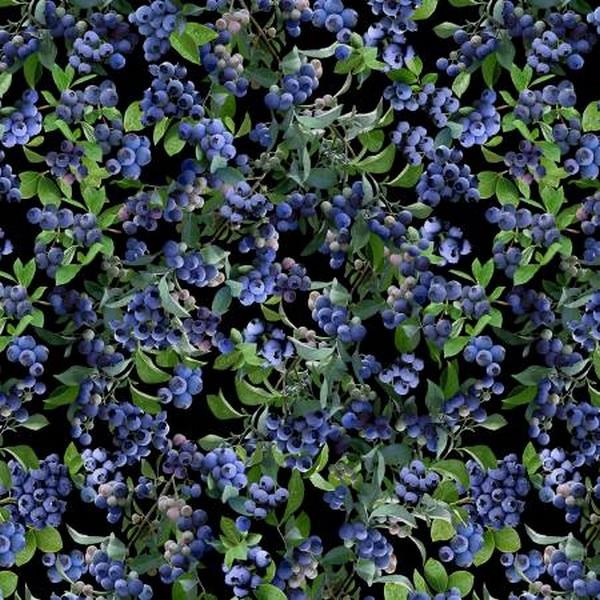 Blueberry Hill Blueberry Bush on Black by Benartex available in Canada at The Quilt Store