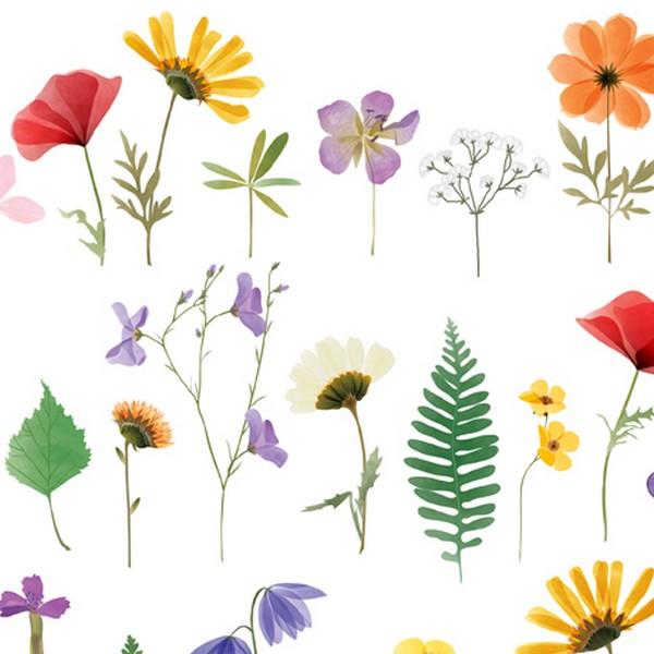 Wildflowers white Stems by Turnowsky for QT Fabrics available in Canada at The Quilt Store