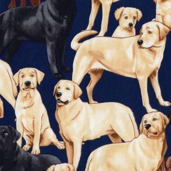Dogs - Labrador Retrievers by Timeless Treasures available in Canada at The Quilt Store