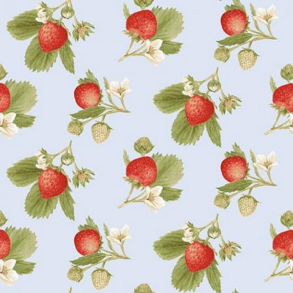 Strawbery Garden by Jane Shasky for Henry Glass & Co. available in Canada at The Quilt Store