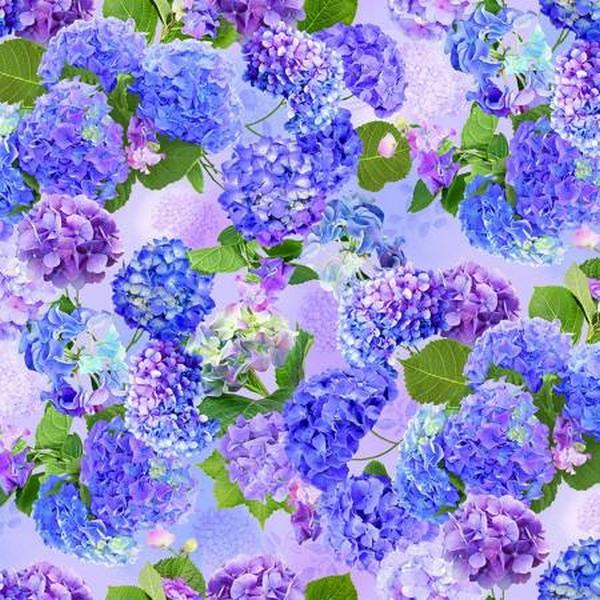 Hydrangea Bliss Medium Floral by Chong-A-Hwang for Timeless Treasures available in Canada at The Quilt Store